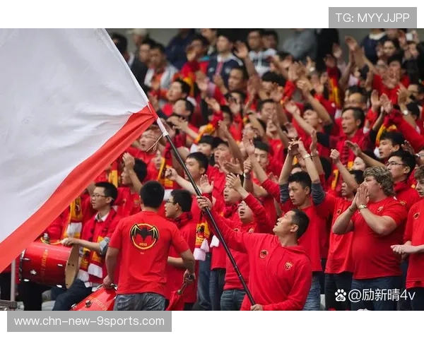 球迷故事：支持球队的最美动人瞬间，球迷对球队的作用