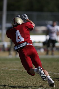九游娱乐登录-五大联赛的魅力：不同国家球队的差异化风格，5大联赛球队综合实力排名