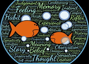 九游娱乐官方平台-法甲实际战术板使用率与胜率关系初步调查，法国套战术板