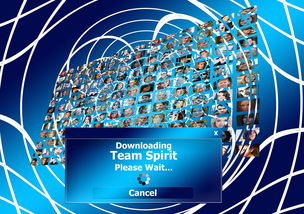 九游娱乐登录-球迷盛典：现场氛围与体育精神的融合，球迷知识